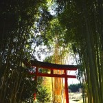 Entrée du Jardin Zen