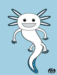 Axolotl-Illustrator